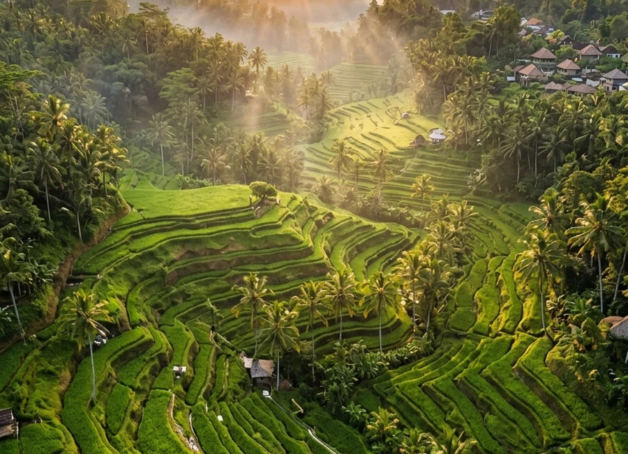 Bali with Children: Which Activities Fit Your Family?
