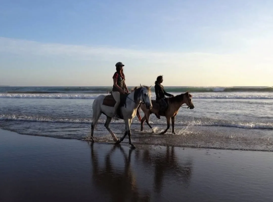 Horse Riding