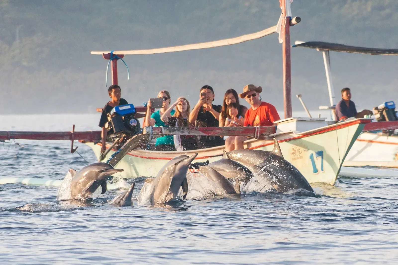Lovina Dolphins, Snorkeling & Waterfall Tour