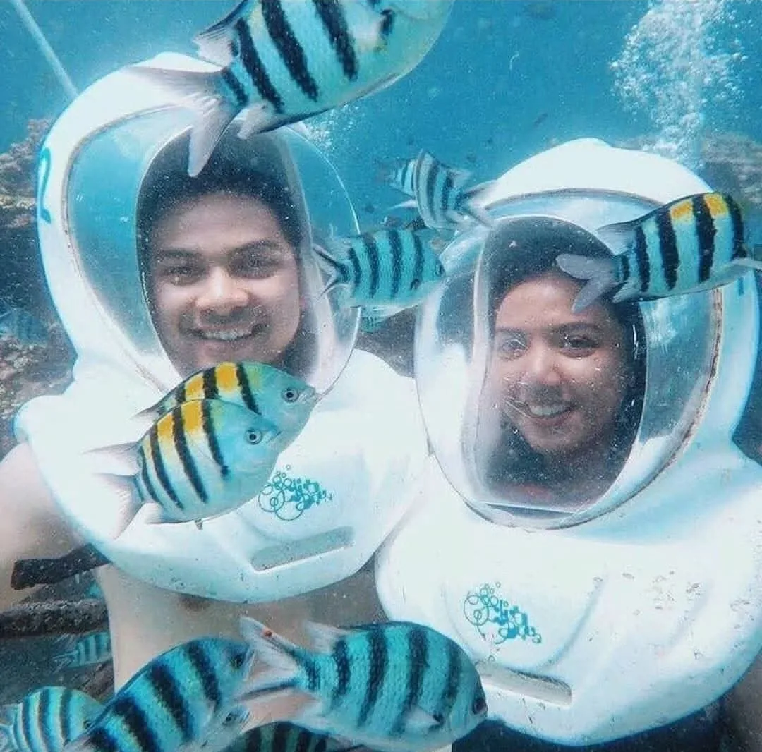 Ocean Walker & Sea Turtle Island