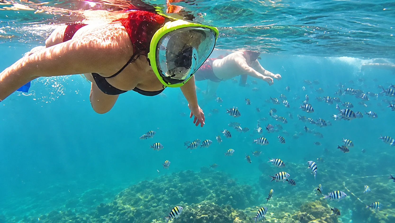 Nusa Lembongan Snorkeling & Mangrove Tour