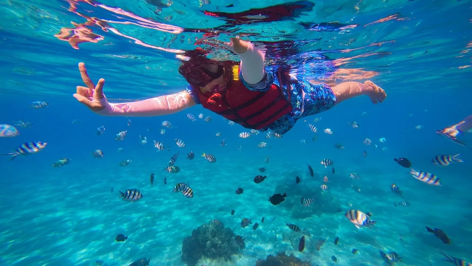 Nusa Penida Manta Bay Snorkeling