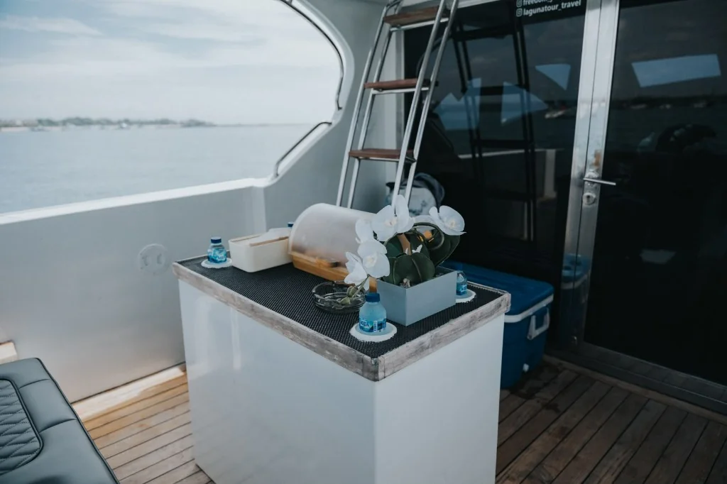 Aft Cockpit Bar · Teak Wood Deck & Ladder