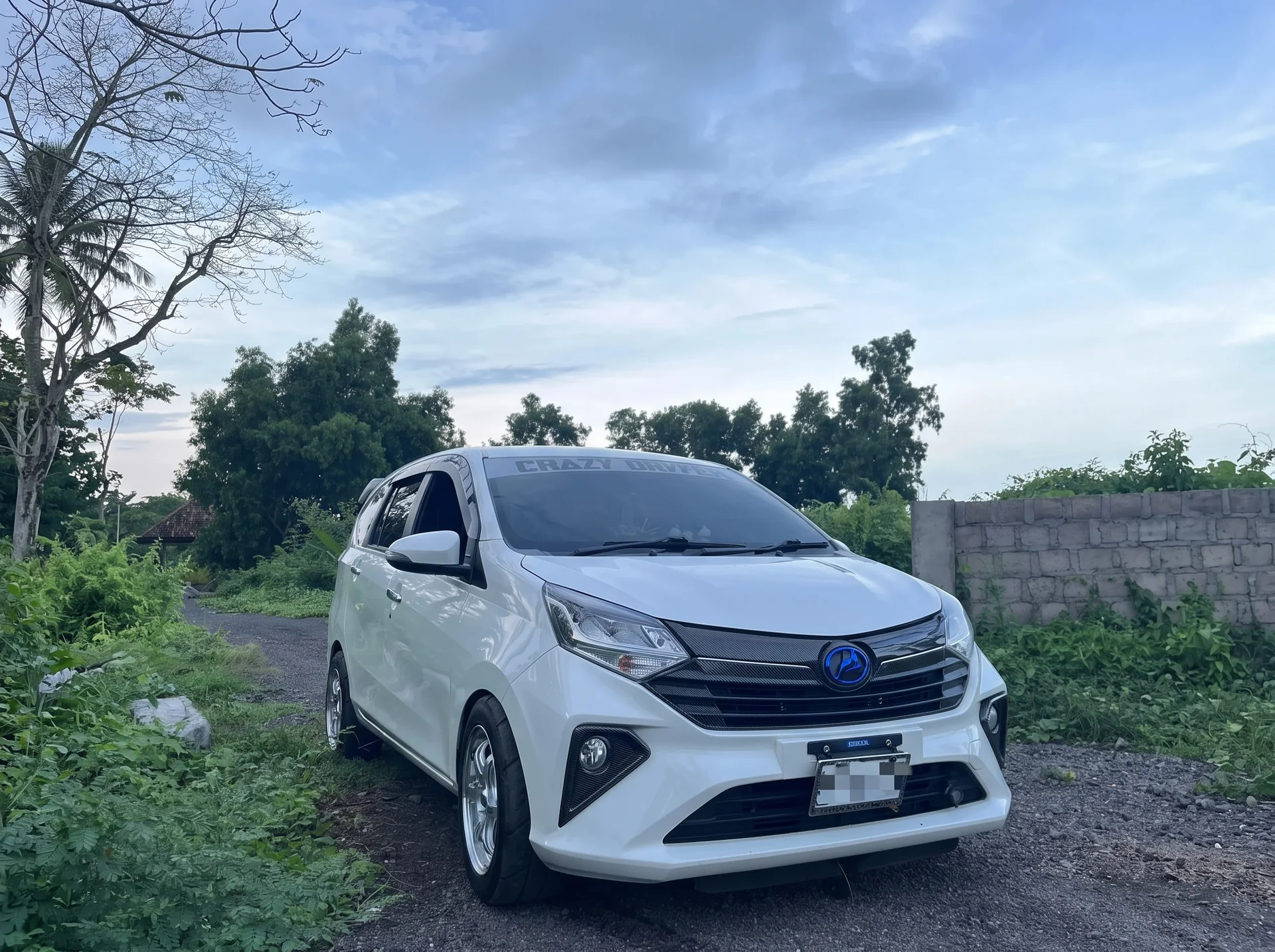 Standard MPV Charter - Full Day